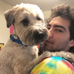 Meet your Posher, David